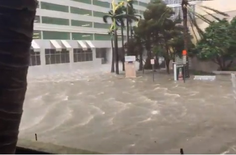 Посланикът ни в САЩ: Няма пострадали българи от урагана „Ирма"