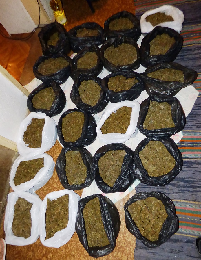 Откриха близо 1 тон марихуана в зеленчукова градина край Кърджали