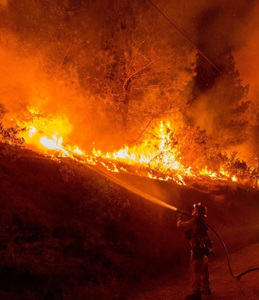 1000 дка изгоряха за ден в област Монтана