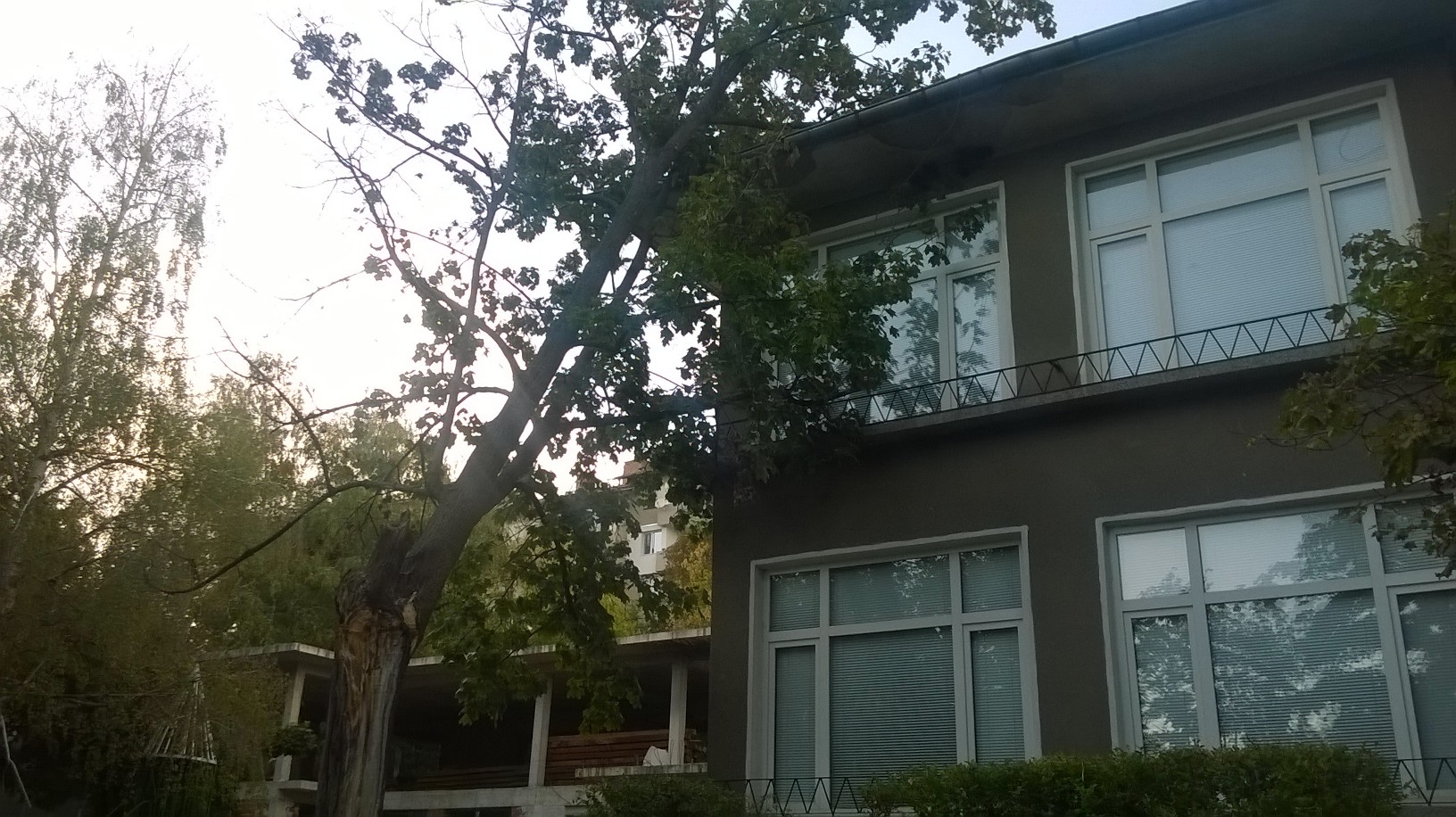 Премахнаха опасно дърво в двора на детска градина в Търново