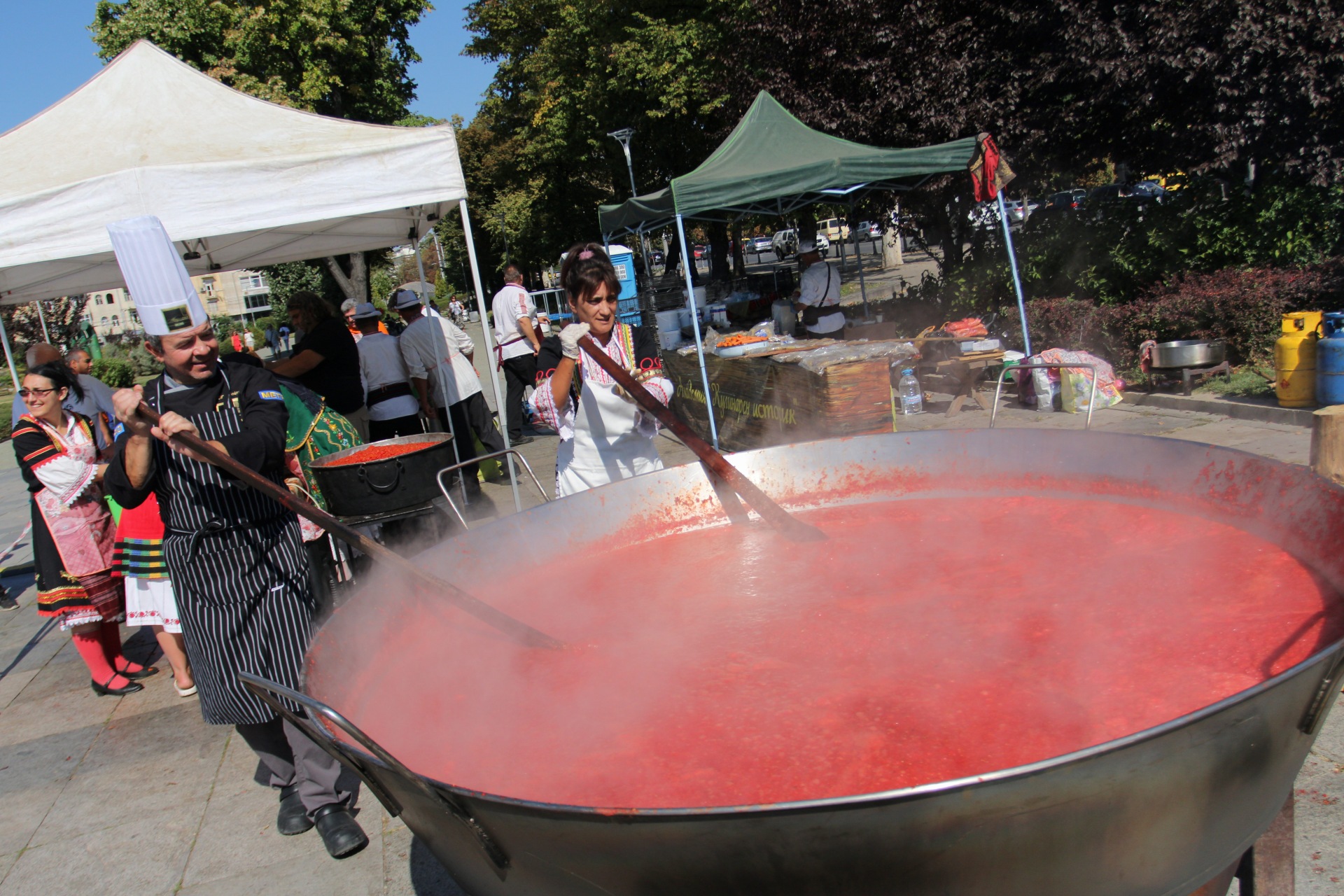 1.2 тона лютеница свариха в центъра на София (СНИМКИ)