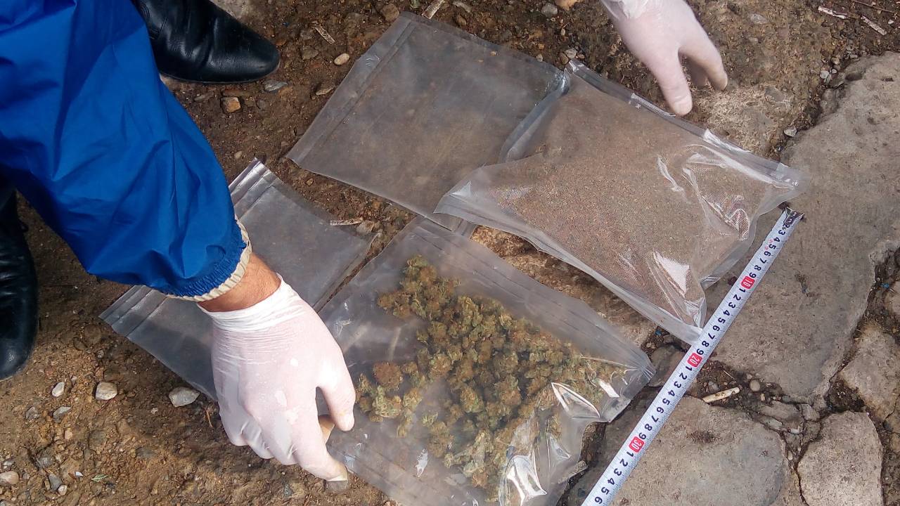 Криминалисти от РУ-Нови пазар разтуриха оранжерия с канабис