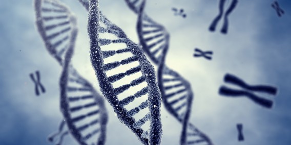 ДНК операция на ембрион маха болест