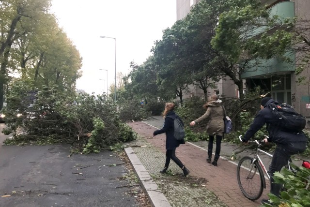 Жена загина, а други десет човека са ранени,  при буря в Германия