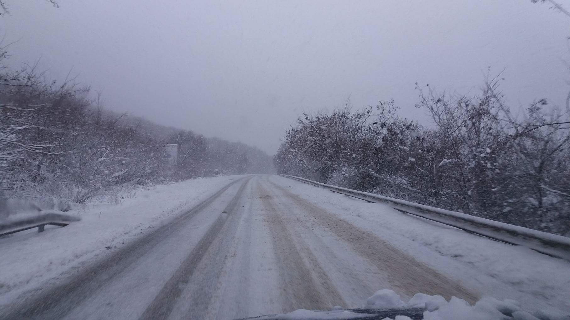"Петрохан" е затворен заради паднали дървета