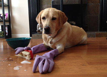 Как да поискаме от шефа 1000 лева увеличение на заплатата?