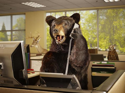 Колко випускници от Харвард са необходими, за да завият една електрическа крушка?