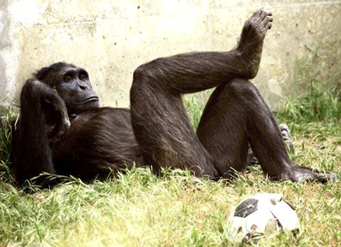 Как Сахалин се присъедини към Япония