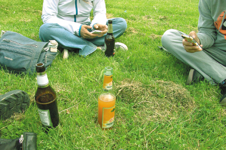 Пием кротко по паркове  и градинки