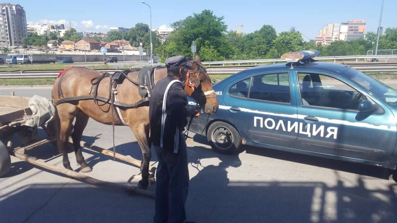 Горски задържаха кола, кон и каруца
