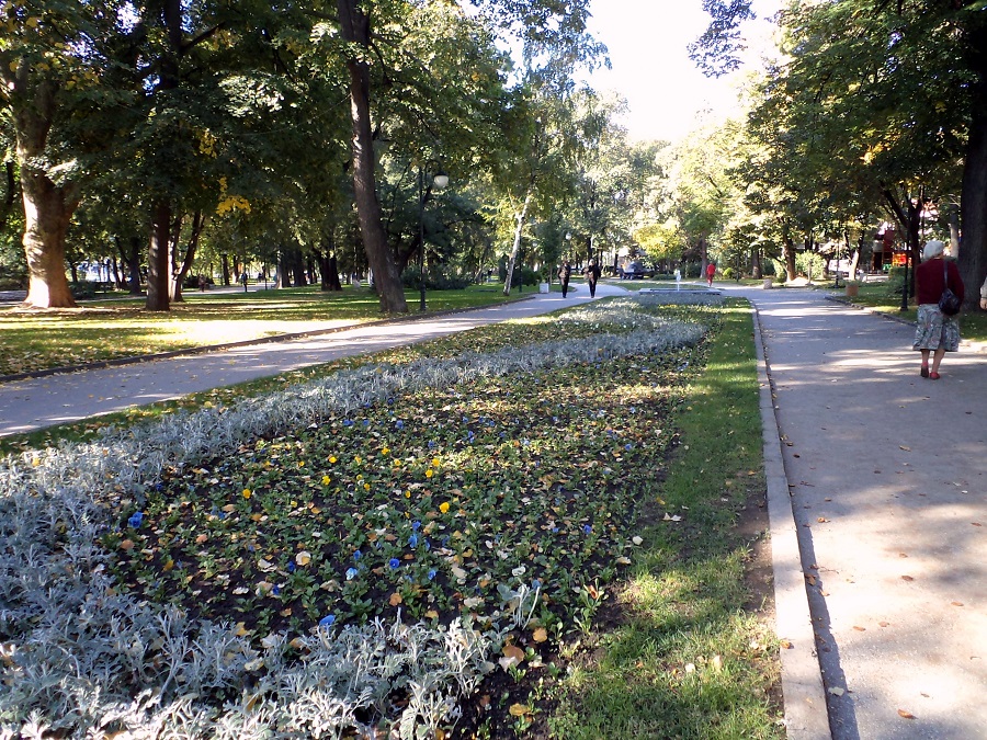 1 млн. нови есенно-пролетни цветя превръщат Пловдив в райска градина