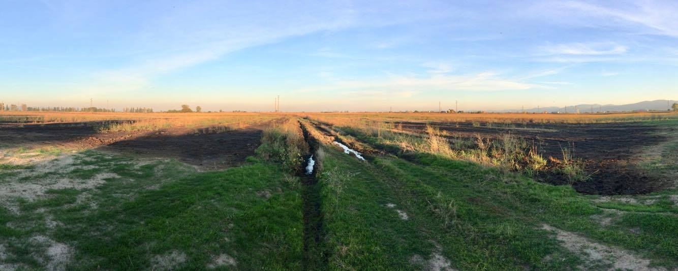 Ловците от Труд алармират: Няма дивеч, нивите са блата