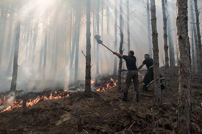 Експерти ще дискутират щетите от огромния пожар над Кресна през август