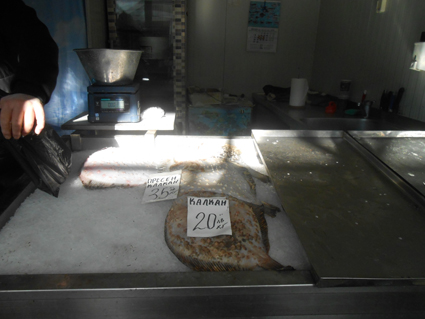 България с по-голяма квота за улов на калкан