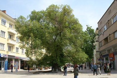 По един ден допълнителен отпуск за участие в маратона "Хайдушки пътеки"