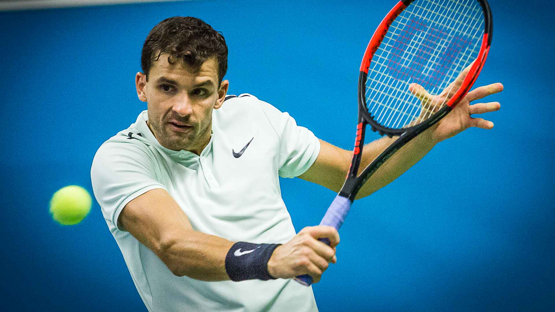 Дел Потро остави Григор с празни ръце (обзор)