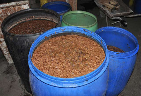 Джибри задушили възрастна двойка