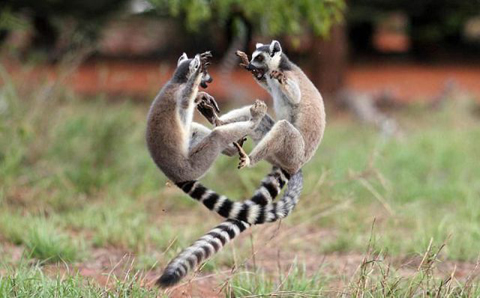 Еротична оферта за шофьори за градския транспорт