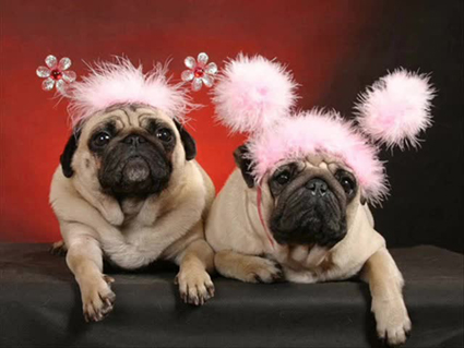 Каква е разликата между леката, неомъжената и омъжената жена?