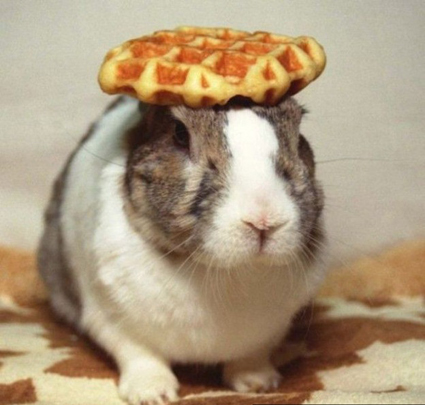 Шофьорът тича зад автобуса - пътниците се смеят