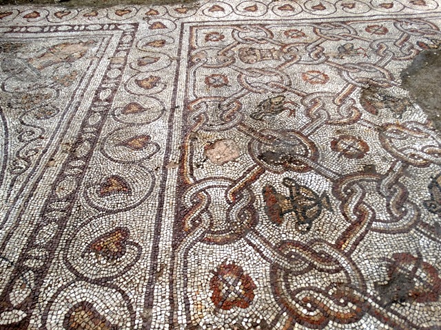 Пловдив праща 100 птици от Рая на ЮНЕСКО (СНИМКИ)