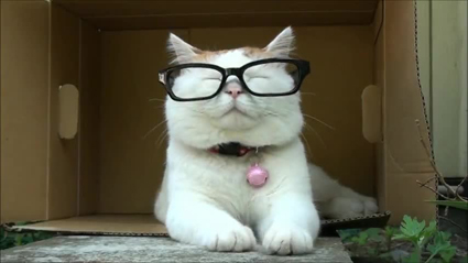 С какъв въпрос блеснала журналистка пред шахматист?