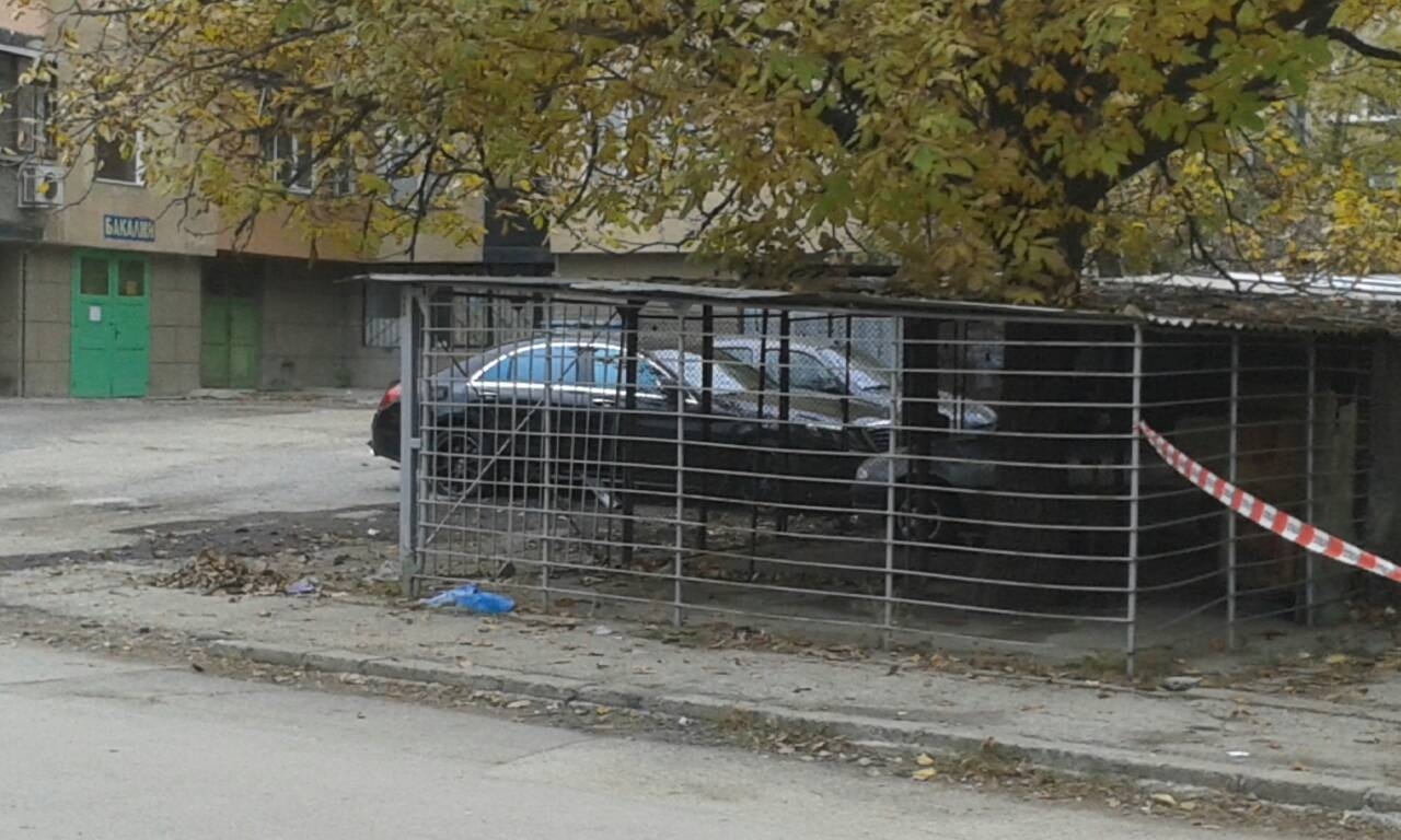 Бомба под „Мерцедес” вдигна на крак полицията в Монтана (СНИМКА)