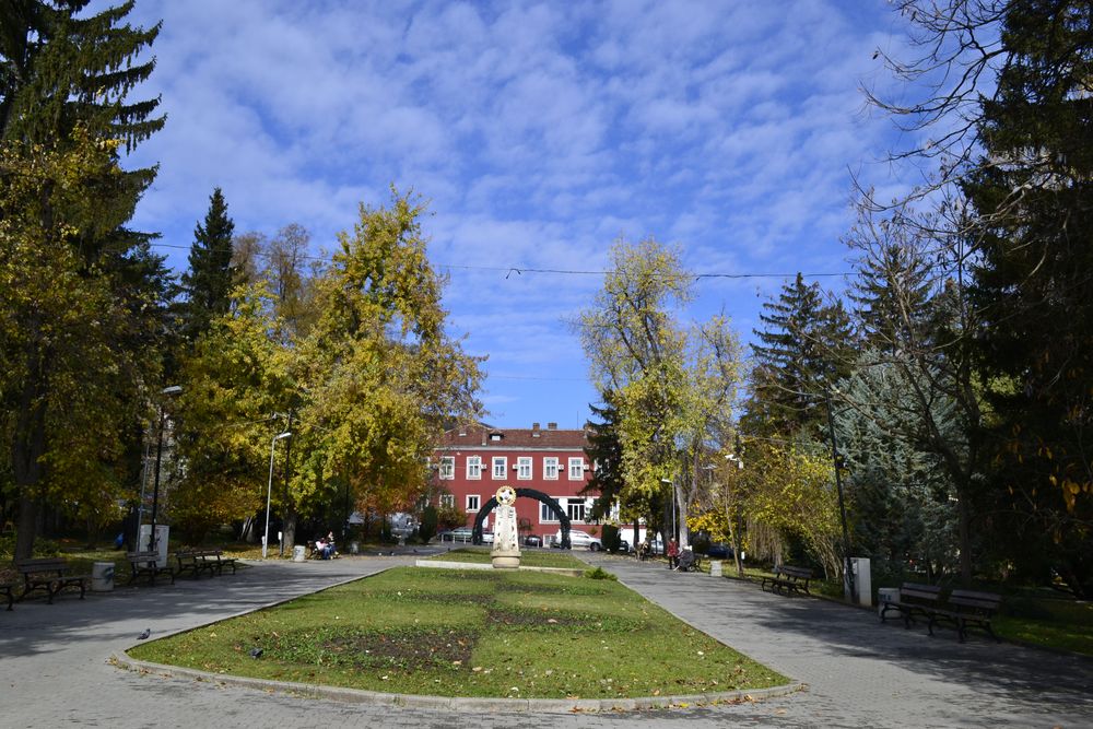 Клиника на открито организират във Велико Търново