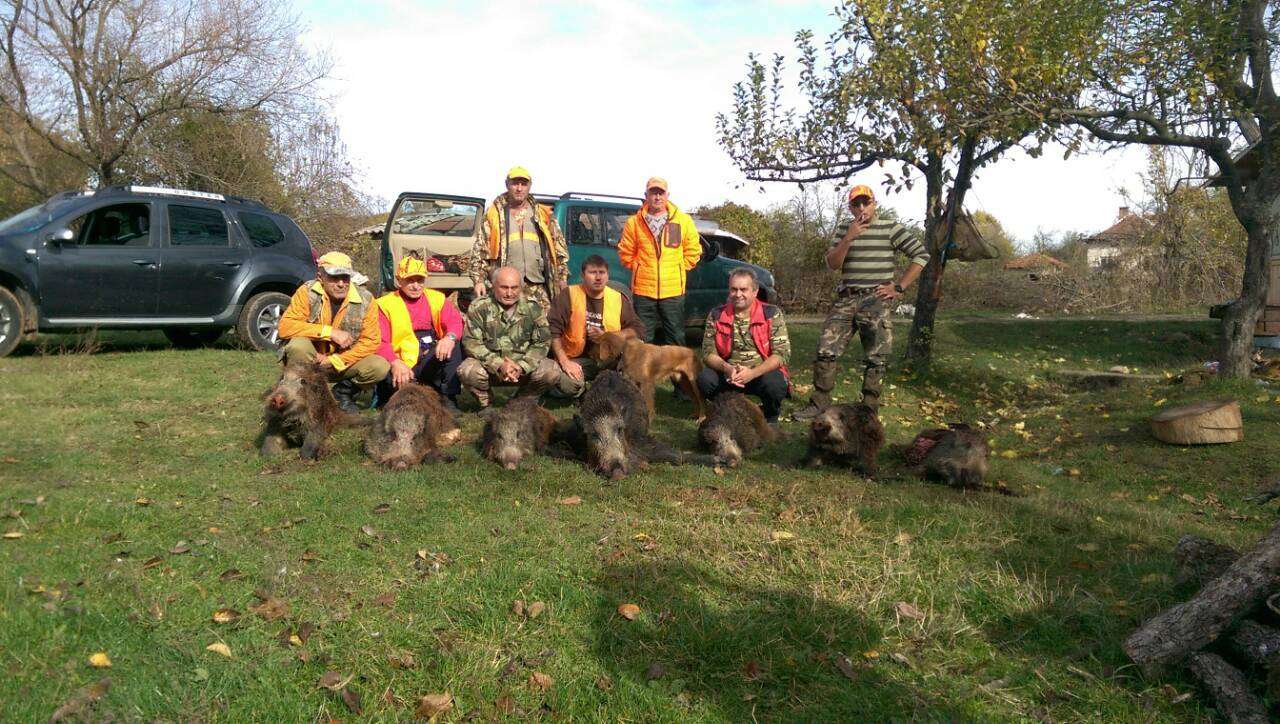 Дружинка от Черкаски отстреля 7 диви свине на един излет
