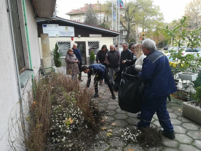 Раздадоха безплатно 2200 храста на пловдивчани