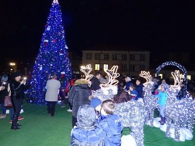 В Нова Загора вече грейна елхата
