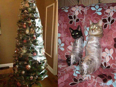 Да спасим  Коледа  от котката