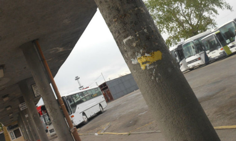 Автобусите в Асеновград отново тръгват от автогарата от 11 декември