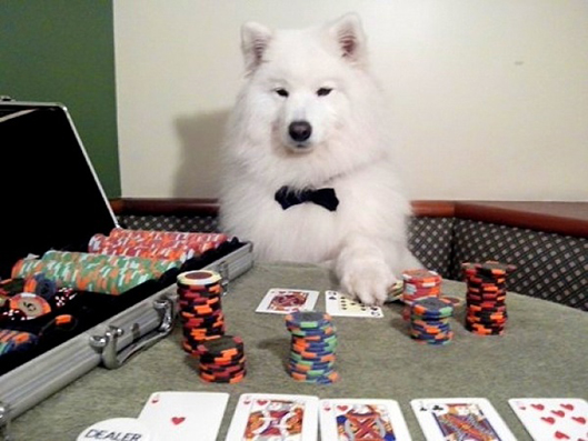 Секс телефон за алкохолици - какво представлява