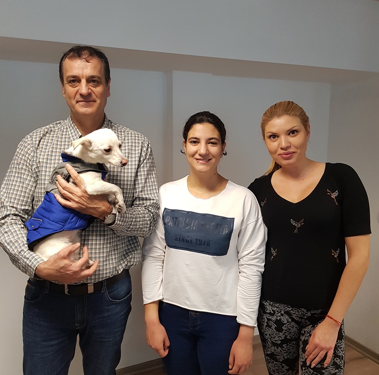 Пловдивски районен кмет награди собственик на новорегистрирано куче