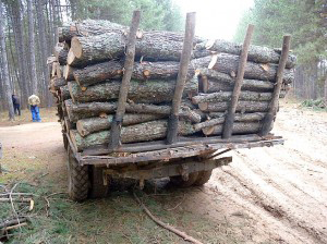 Камион с 30 кубика дървесина се подпали в движение край Стражица