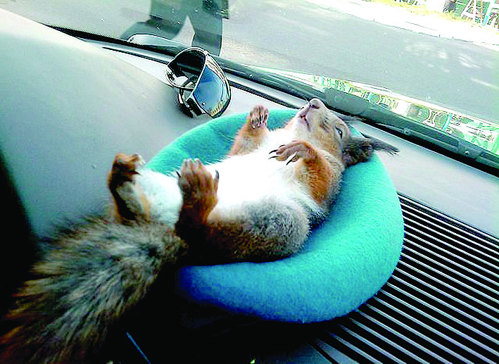 С какви мили думи се наричат зет и тъща?