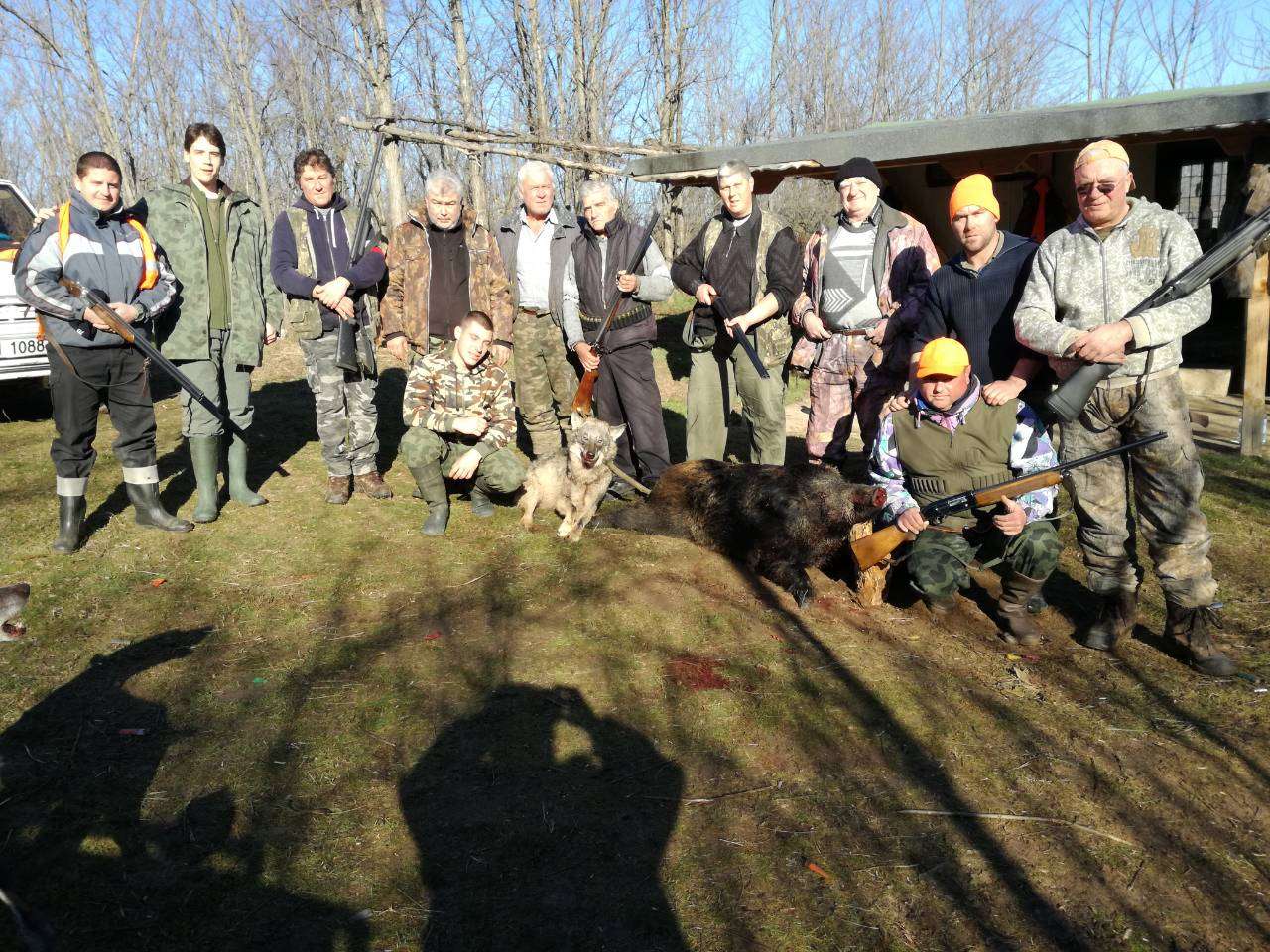 Пожарникар гръмна вълк, слязъл от Балкана