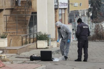 Гласът на костенурката