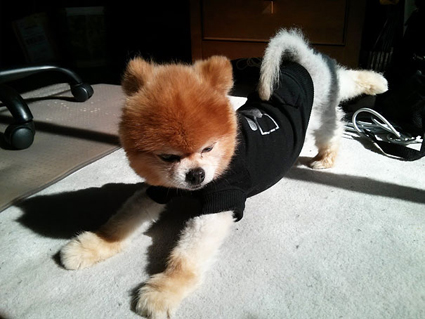 Какво студентка по медицина вдига за пет секунди?