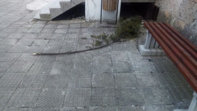 Бедствено положение в община Смолян заради силен вятър