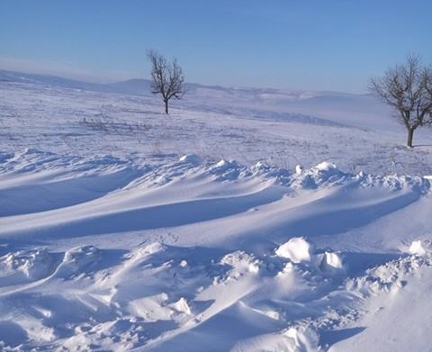 Спасиха мъж, изгубил се на Витоша
