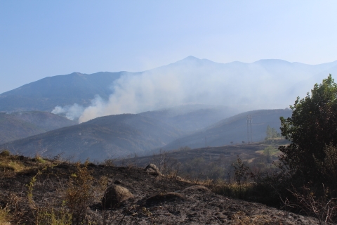 Отпускат евросредства за възстановяване на щетите от пожарите в Кресненското дефиле