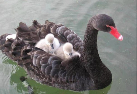 Какво е лошото, когато откажеш цигарите