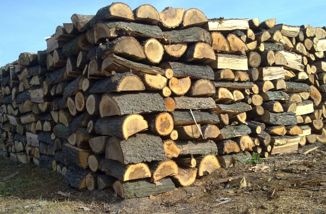 Изловиха секачи след граждански сигнал