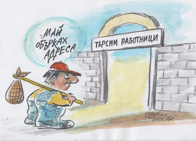 Търсим готвач-програмист?