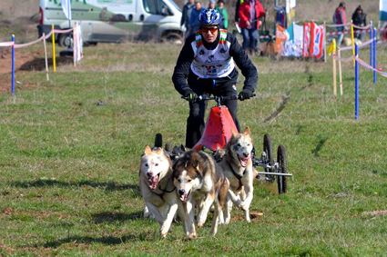 Атлети и кучета в битка за награди край Войнеговци