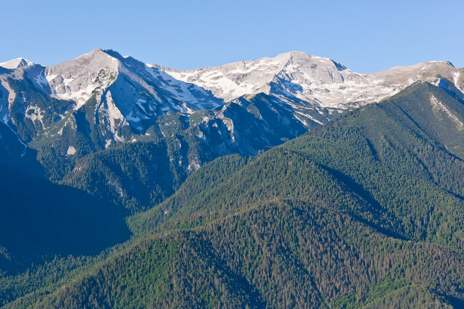 Учители почистиха и освежиха маркировката в НП “Пирин“