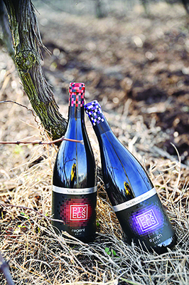 Сомелиери дегустираха първи новите червени вина PIXELS