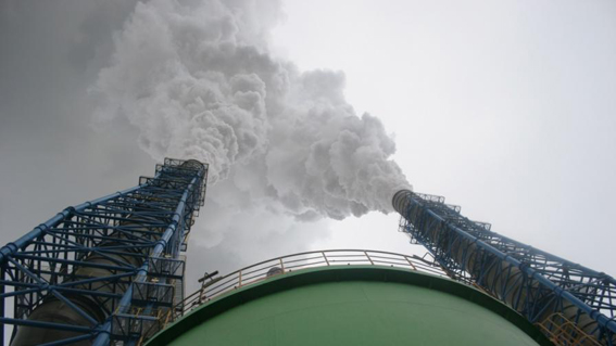 “Белите аборигени” не са свикнали с битките